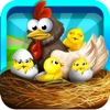 Poultry Breeding Factory – Crazy chicken farm