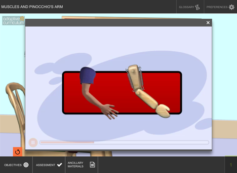 Muscles and Pinocchio’s Arm screenshot 3