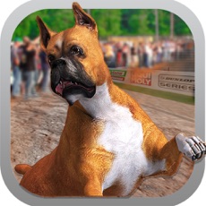 Activities of Dog Race Greyhound 3D- Dog Racing Game - Pet Show
