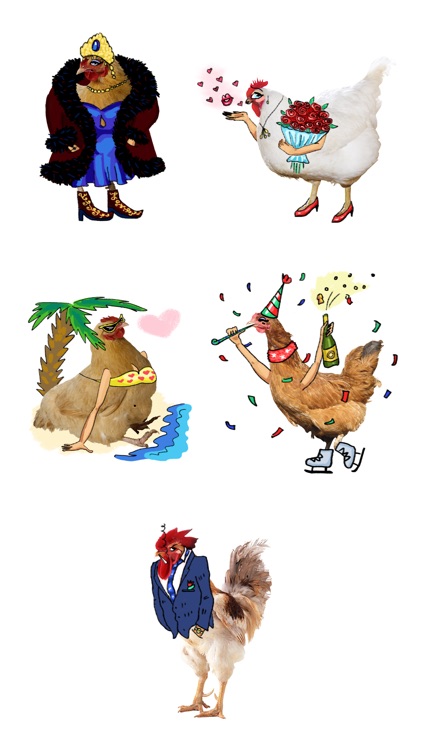 Glamor for chickens stickers