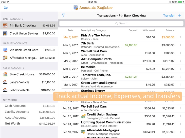 Cheetah Finances for iPad