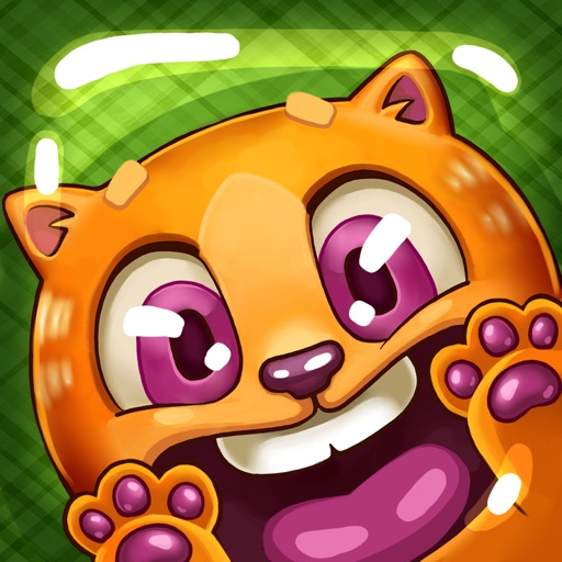 READY SET CAT Icon