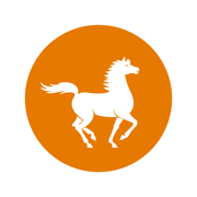 ChaabiBank