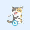 Life of Cats - Animated GIF Stickers