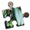 House Plants Puzzle