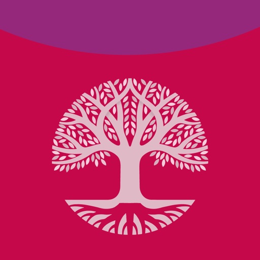 Reflections on the Psalms: Bible notes from CofE
