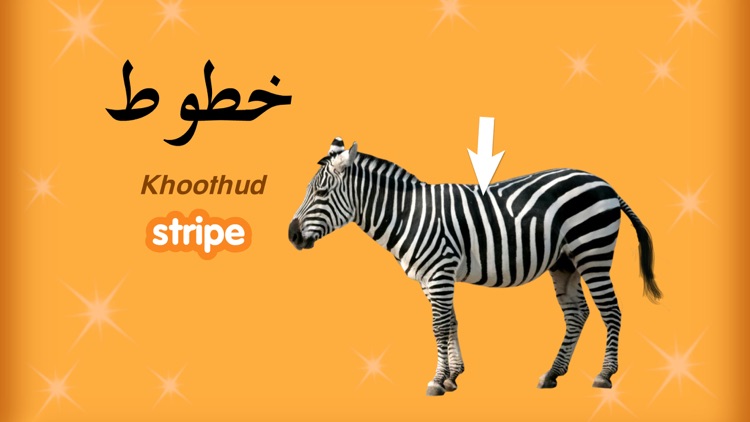 Learn Arabic 4