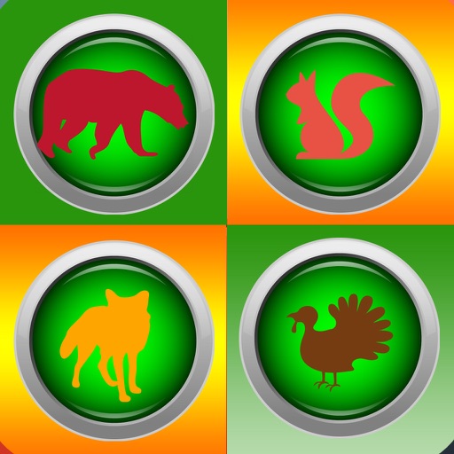 Sound Box for Animals Icon