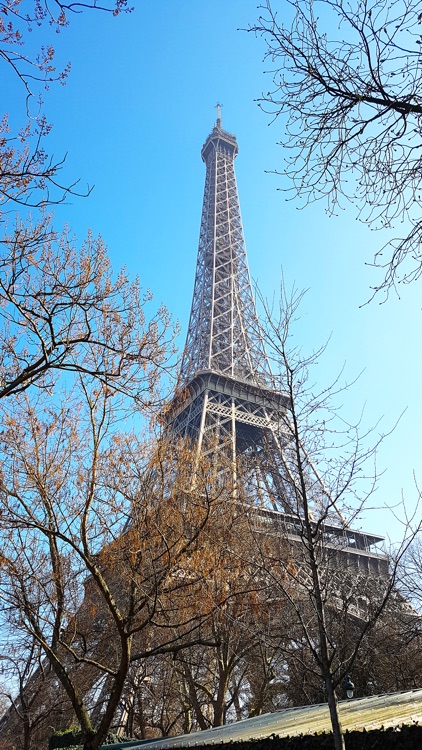 VR Paris High Up On Eiffel Tower Virtual Reality