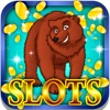 Lucky Trees Slots: Bet on the evergreen forest