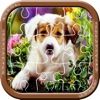 Jigsaw Puzzle Family Dog home
