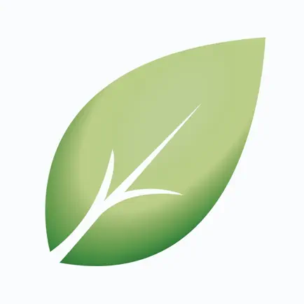 Shiny Leaf Читы