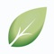 Shiny Leaf is a premier provider of high-quality skin care, hair care, and bath & body products