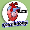 Learn Cardiology Tutorials