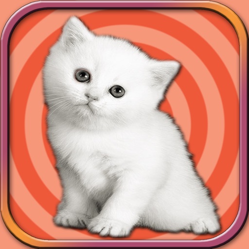 Adorable Kitten Run – Pet Simulation game 2017 by Ayesha Yasser