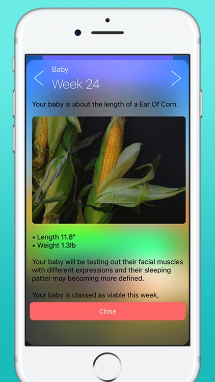Pregnancy Today - Baby Tracker