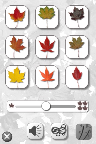 Leaves screenshot 4
