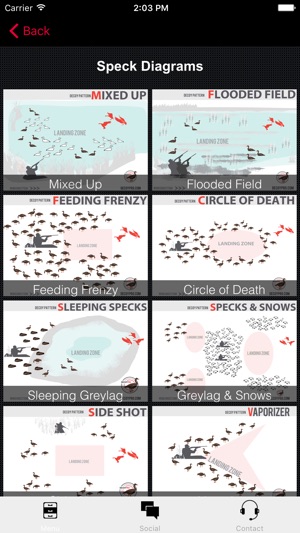 Greylag Goose Hunting Decoy Spreads - DecoyPro(圖3)-速報App