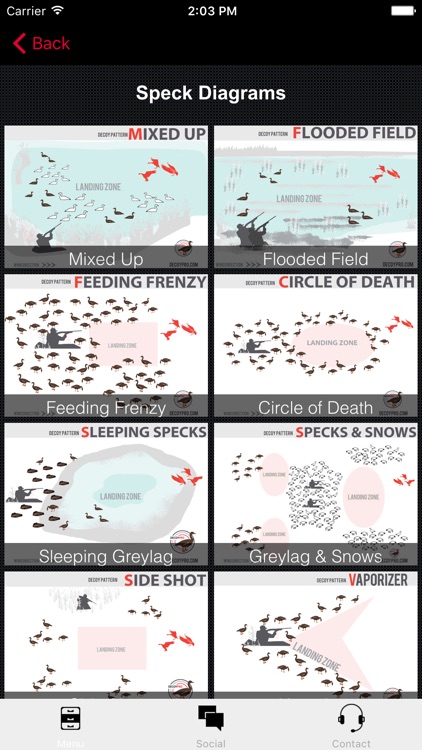 Greylag Goose Hunting Decoy Spreads - DecoyPro by GuideHunting