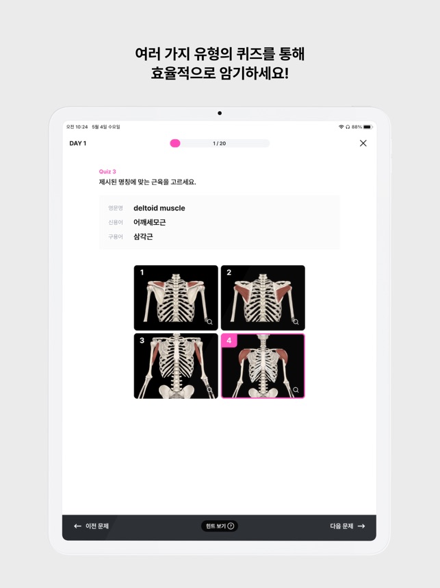 아나토미마스터 - 이파마스터가 만든 해부학 암기앱 On The App Store