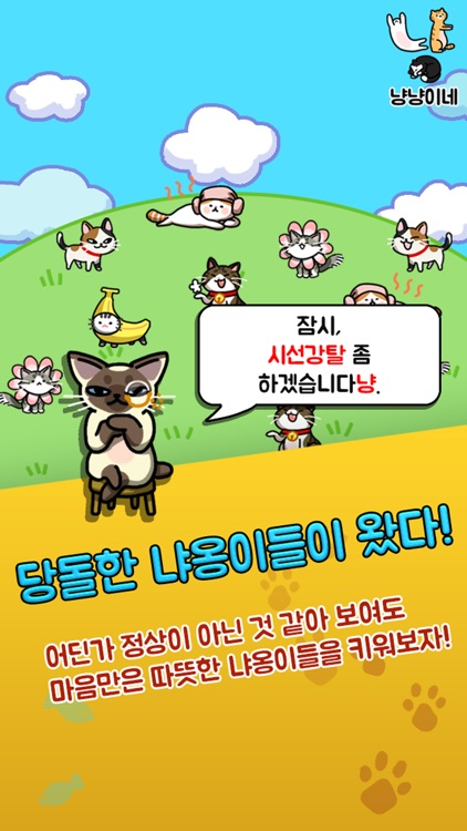 냥냥이네 - 고양이 키우기