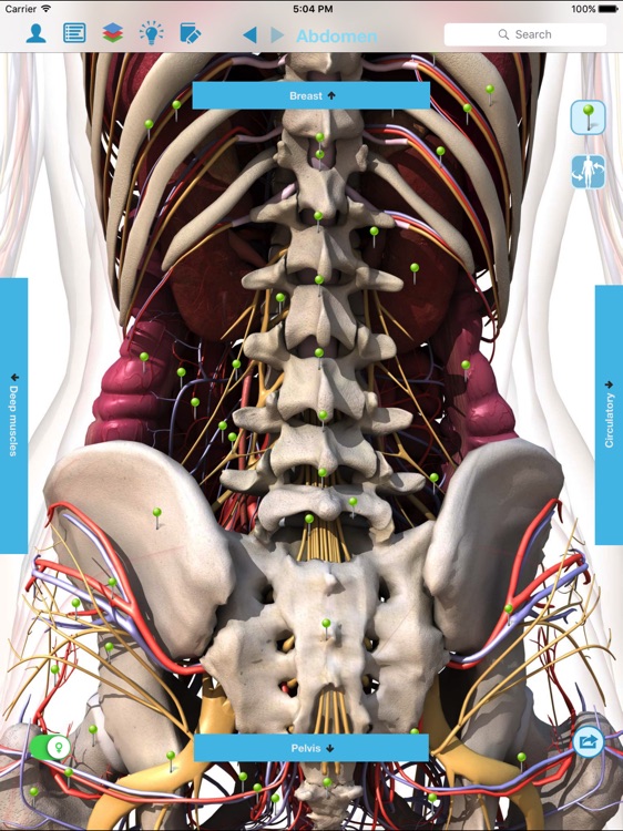 Anatomy & Physiology - anatomy of human body parts screenshot-4