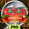 My Christmas Surprise - Hidden Object