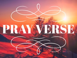 Popular bible verse quotes to support, inspire, and encourage your friends and family