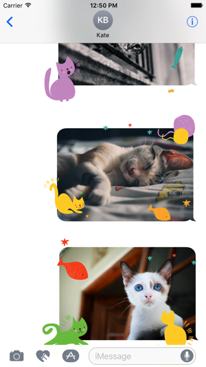 Animated Cute Cat Stickers(圖1)-速報App