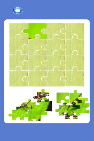 Ant Zoo Puzzle Learning For Kids - Animals screenshot 2