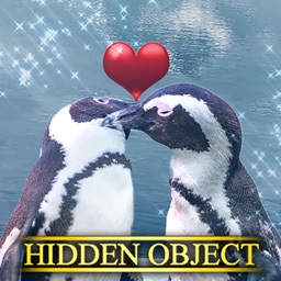 Hidden Object - Be Mine