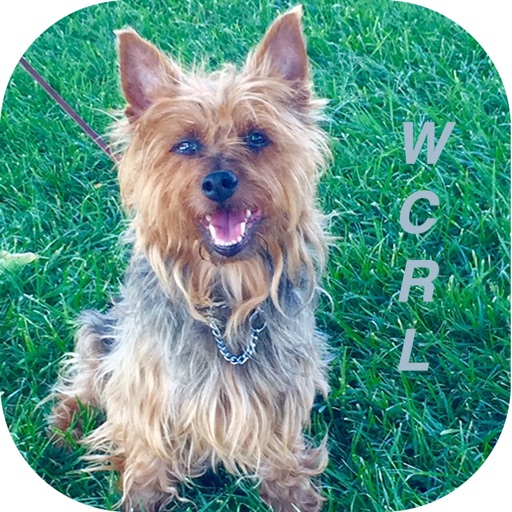 World CynoSport Rally Obedience