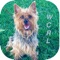 WCRL is an update to the original APDT app that was offered in 2012