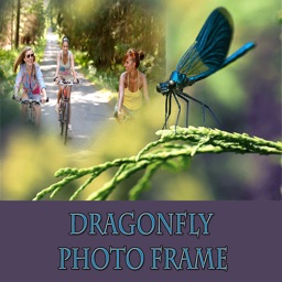 Dragonfly HD Photo Collage Frame