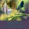 Dragonfly Photo Frame is the latest photo frame about topic dragonfly, nature