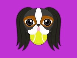 Are you a Japanese Chin puppy lover