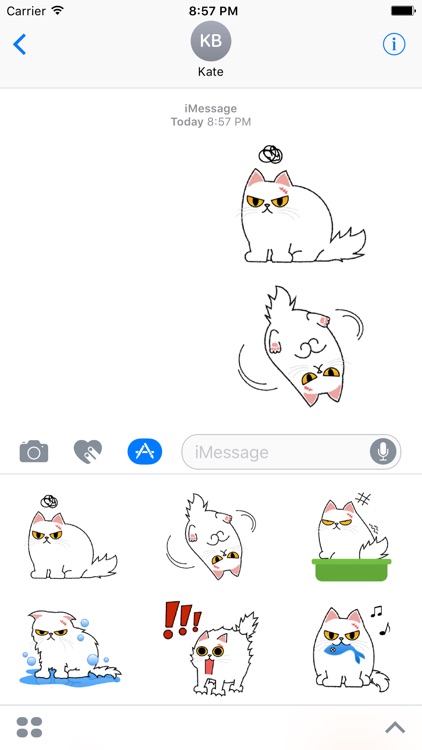 Cute Persian Cat Stickers Pack