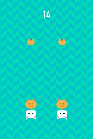 Kitty Game - Flappy Kitty Rush screenshot 2