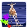 Deer Jigsaw Puzzle Animal Game for Kids