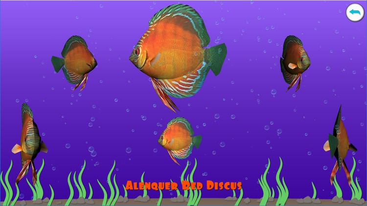 3D Coloring App. Dancing Fishes screenshot-4