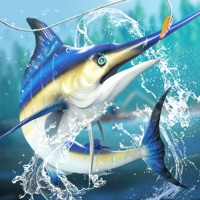 Real Wild Fishing - Fish Game apk