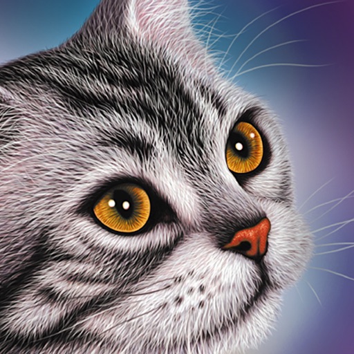 Start Sweet Cat Simulation in Home icon