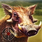 Top 29 Games Apps Like Warthog Hunting Practice - Best Alternatives