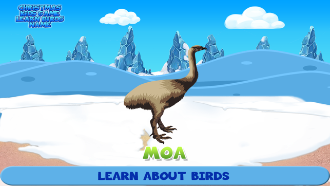 Christmas Kids Game Learn Birds Name(圖5)-速報App