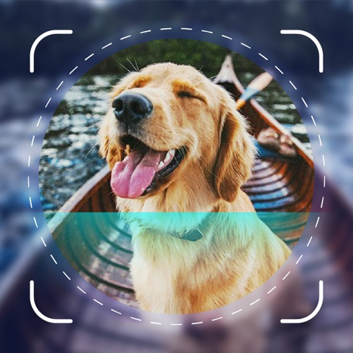 Dog Scanner - Puppy ID Icon