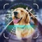 Dog Scanner - Puppy ID