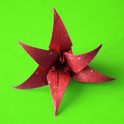 Origami Flowers Читы