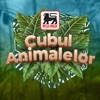 Cubul Animalelor