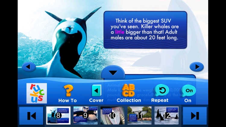 SeaWorld: The Story of Shamu