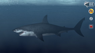 How to cancel & delete Talking Great White : My Pet Shark from iphone & ipad 4
